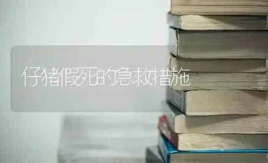 仔猪假死的急救措施 | 家畜养殖