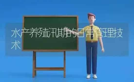 水产养殖汛期的日常管理技术 | 动物养殖百科