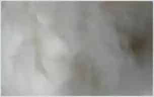山羊绒的用途和产地 | 动物养殖资料
