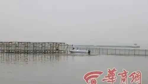 阳澄湖大闸蟹开捞 学会四“看”辨别大闸蟹真假