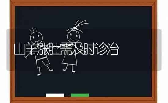 山羊涨肚需及时诊治 | 家畜养殖