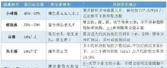 藻类在水产养殖中的应用