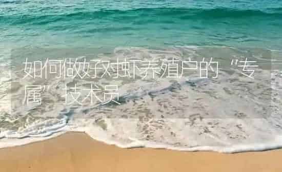 如何做好对虾养殖户的“专属”技术员 | 海水养殖