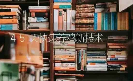 45天快速养鸡新技术 | 家禽养殖