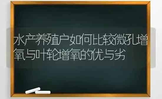 水产养殖户如何比较微孔增氧与叶轮增氧的优与劣 | 动物养殖百科