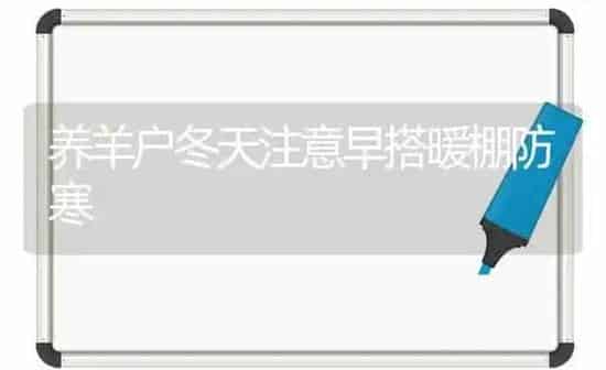 养羊户冬天注意早搭暖棚防寒 | 家畜养殖