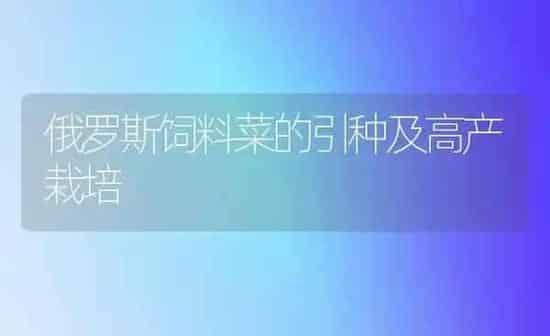 俄罗斯饲料菜的引种及高产栽培 | 动物养殖饲料