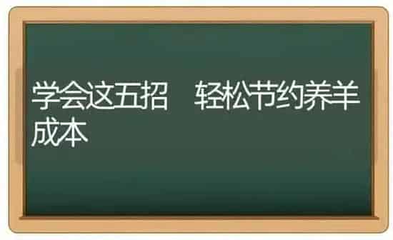 学会这五招 轻松节约养羊成本 | 家畜养殖