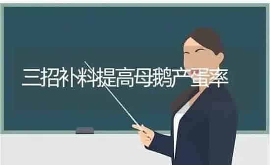 三招补料提高母鹅产蛋率 | 家禽养殖