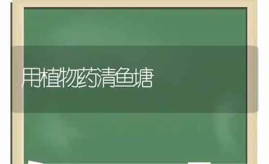 用植物药清鱼塘 | 养殖病虫害防治