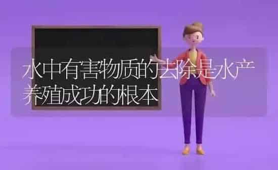 水中有害物质的去除是水产养殖成功的根本 | 动物养殖百科