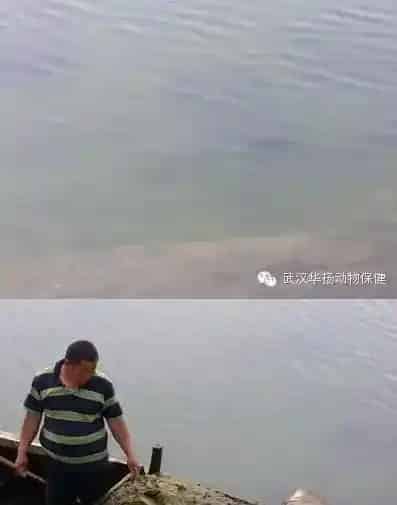 海参圈养殖过程中病害发生原因分析及处理方法