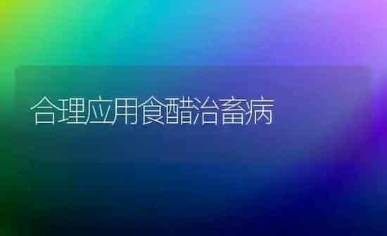 合理应用食醋治畜病 | 家畜养殖