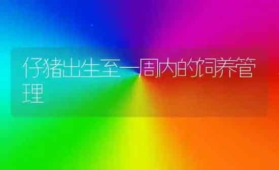 仔猪出生至一周内的饲养管理 | 家畜养殖