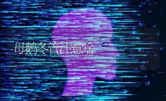 母鹅冬管注意啥 | 家禽养殖