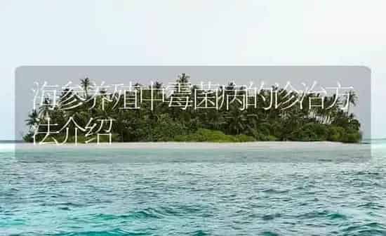 海参养殖中霉菌病的诊治方法介绍 | 海水养殖