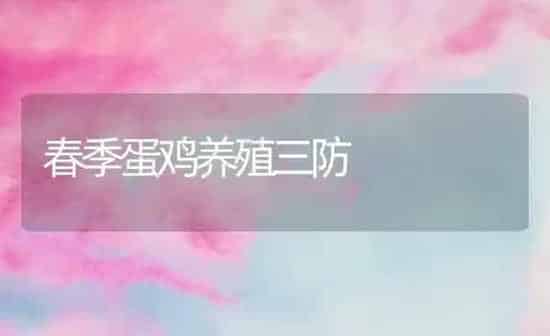 春季蛋鸡养殖三防 | 家禽养殖