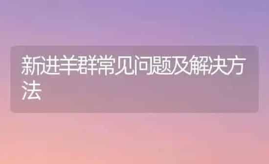 新进羊群常见问题及解决方法 | 家畜养殖