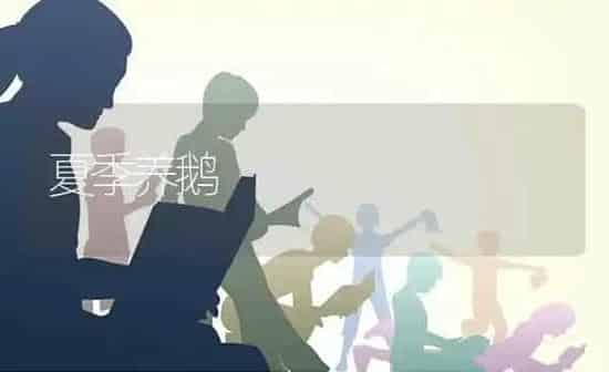 夏季养鹅 | 家禽养殖