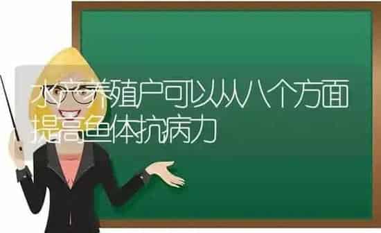水产养殖户可以从八个方面提高鱼体抗病力 | 动物养殖百科