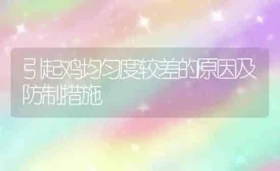引起鸡均匀度较差的原因及防制措施 | 家禽养殖