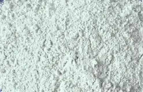 水产养殖中的微生物制剂之二：微生物制剂的优缺点