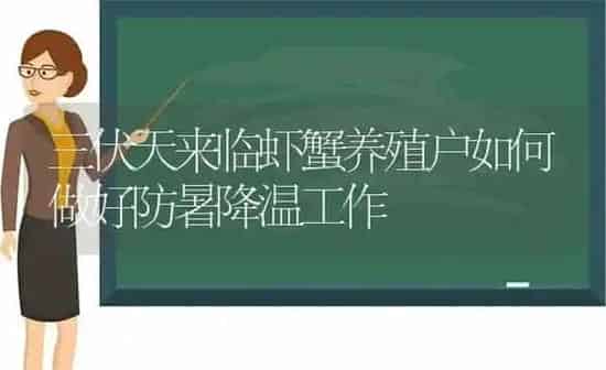 三伏天来临虾蟹养殖户如何做好防暑降温工作 | 动物养殖百科