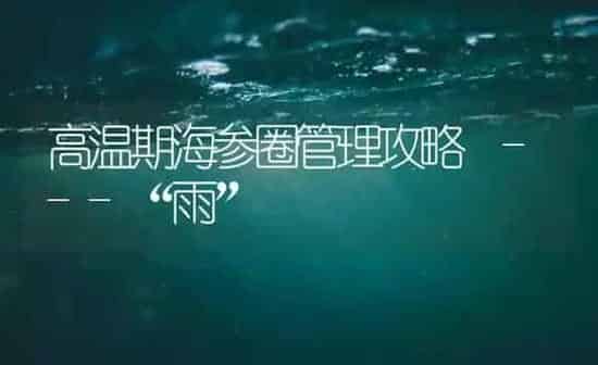 高温期海参圈管理攻略 ---“雨” | 海水养殖