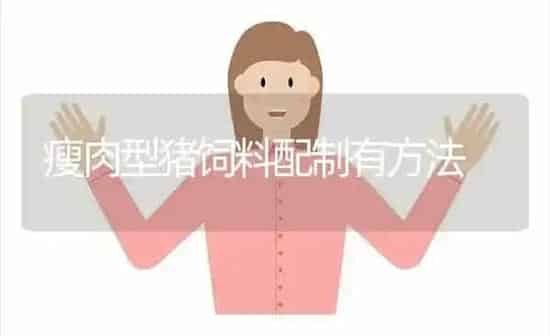 瘦肉型猪饲料配制有方法 | 家畜养殖