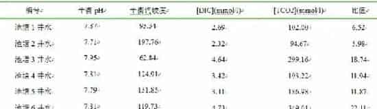 黄河滩地下井水原来这么有内涵，很多水产养殖户都不知道