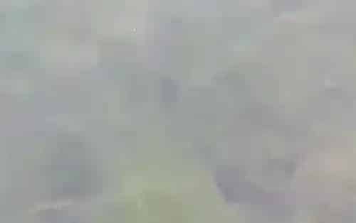 海参圈越冬期（封冰前）养殖攻略