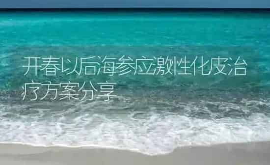 开春以后海参应激性化皮治疗方案分享 | 海水养殖
