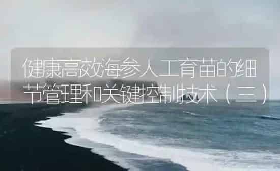 健康高效海参人工育苗的细节管理和关键控制技术（三） | 海水养殖