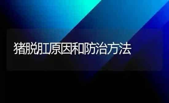 猪脱肛原因和防治方法 | 家畜养殖