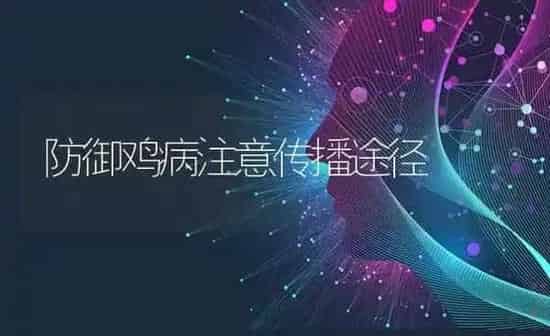 防御鸡病注意传播途径 | 家禽养殖