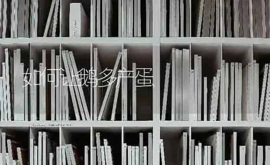 如何让鹅多产蛋 | 家禽养殖
