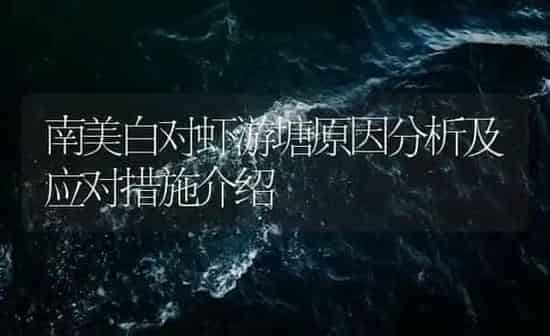 南美白对虾游塘原因分析及应对措施介绍 | 海水养殖
