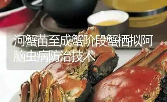 河蟹苗至成蟹阶段蟹栖拟阿脑虫病防治技术 | 淡水养殖