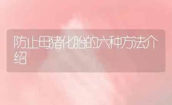 防止母猪化胎的六种方法介绍 | 家畜养殖