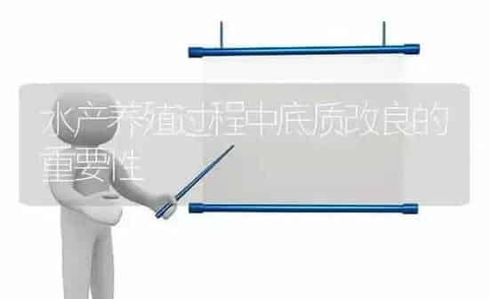 水产养殖过程中底质改良的重要性 | 动物养殖百科