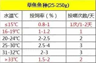 珠三角地区草鱼养殖冬季饲料投喂策略：少即是多