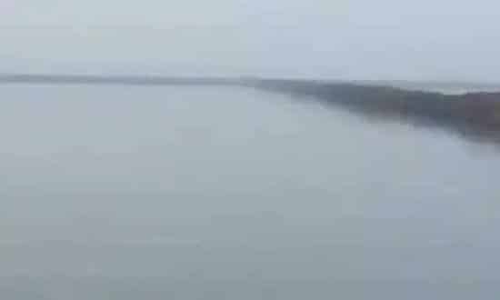 封冰期海参养殖问题及预防方法