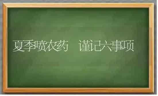 生产肥肝鹅的管理 | 家禽养殖