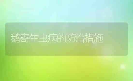 鹅寄生虫病的防治措施 | 家禽养殖