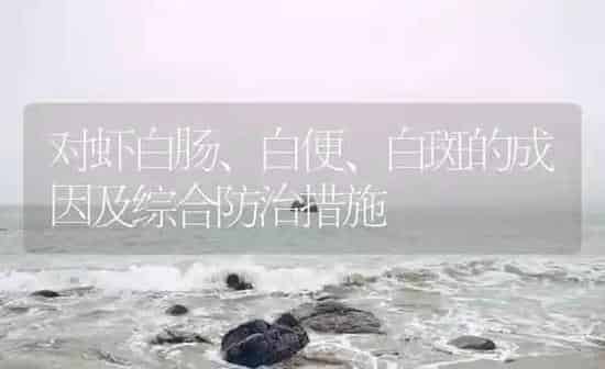 对虾白肠、白便、白斑的成因及综合防治措施 | 海水养殖