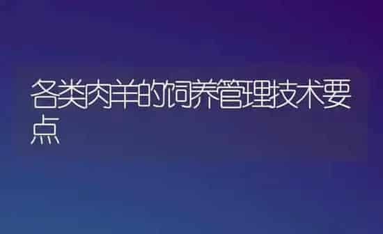 各类肉羊的饲养管理技术要点 | 家畜养殖