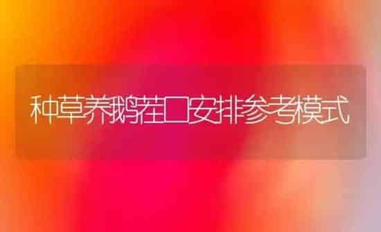种草养鹅茬口安排参考模式 | 家禽养殖