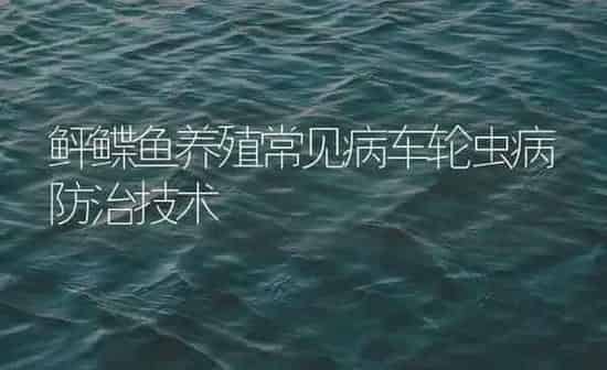 鲆鲽鱼养殖常见病车轮虫病防治技术 | 海水养殖