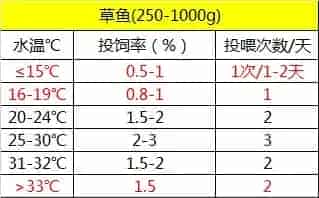 珠三角地区草鱼养殖冬季饲料投喂策略：少即是多
