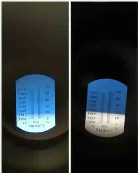 封冰期海参养殖问题及预防方法